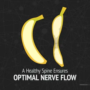 A Healthy Spine Ensures Optimal Nerve Flow
