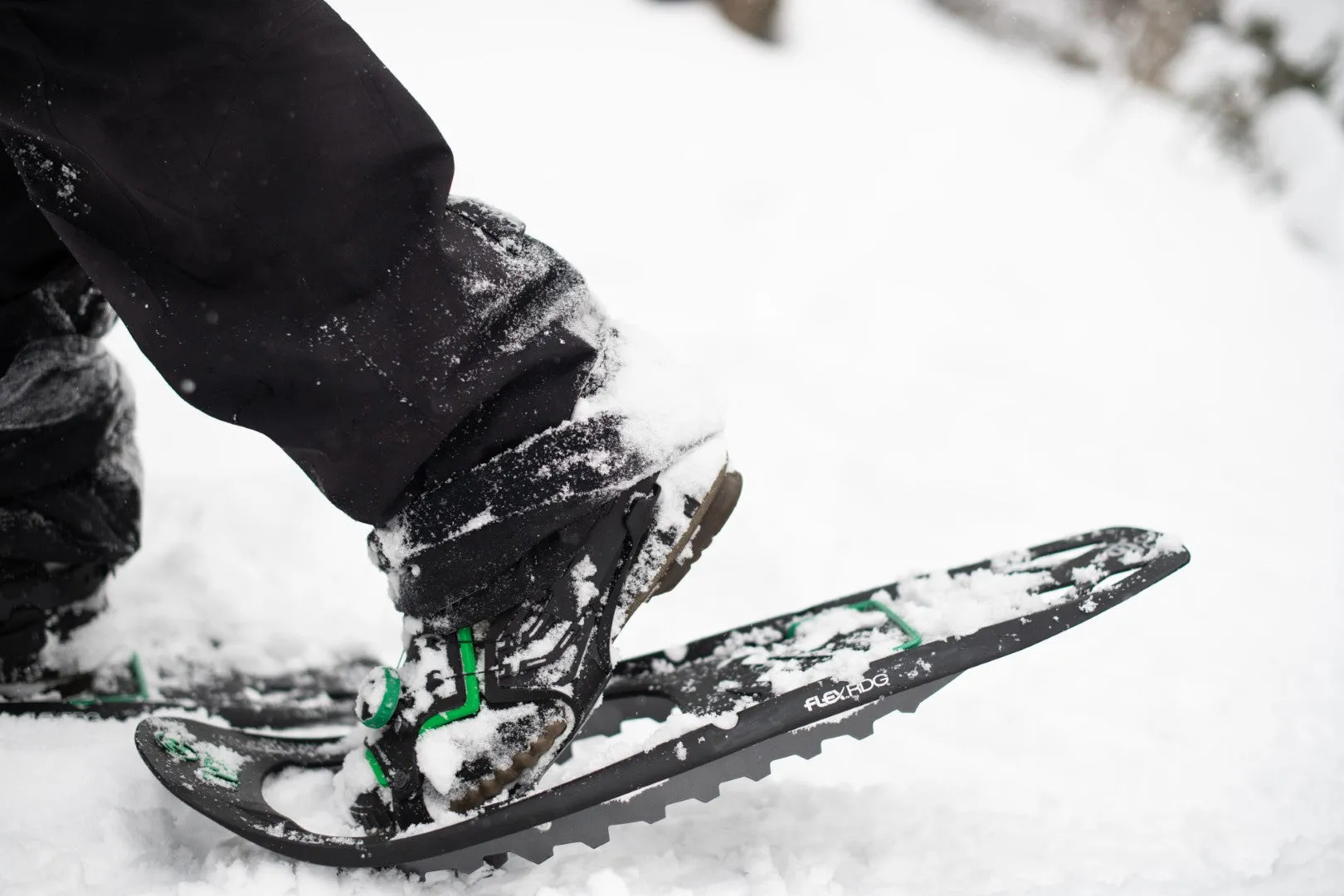 Flex RDG Snowshoes (Men's) - Past Season