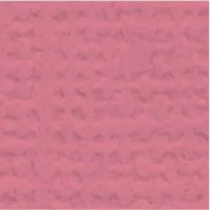 My Colors Cardstock - Canvas 12x12 Single Sheet - Coral Rose