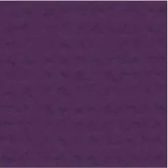 My Colors Cardstock - Canvas 12x12 Single Sheet - Grape Vine