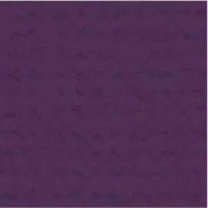 My Colors Cardstock - Canvas 12x12 Single Sheet - Grape Vine