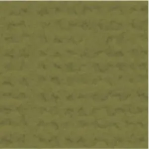 My Colors Cardstock - Canvas 12x12 Single Sheet - Grasshopper