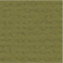 My Colors Cardstock - Canvas 12x12 Single Sheet - Grasshopper