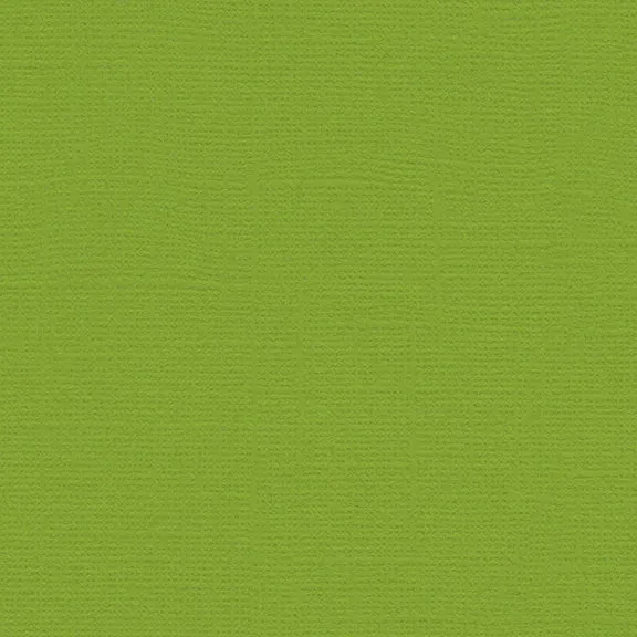 My Colors Cardstock - Canvas 12x12 Single Sheet - Mint Julep