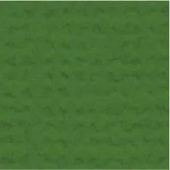My Colors Cardstock - Canvas 12x12 Single Sheet - Parrot