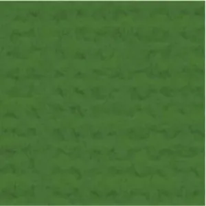 My Colors Cardstock - Canvas 12x12 Single Sheet - Parrot
