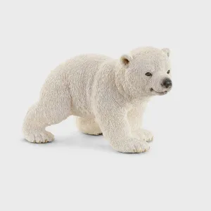 Polar Bear Cub-Walking