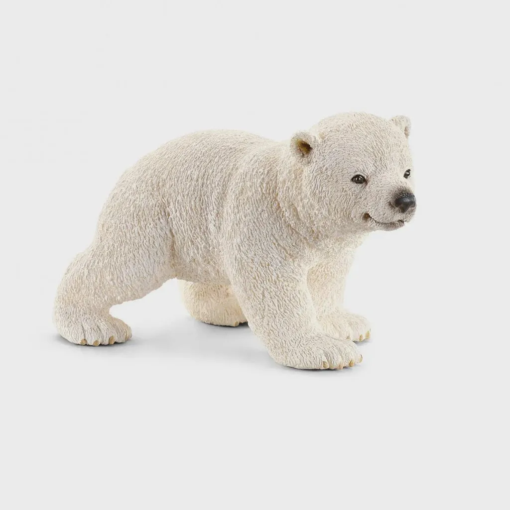 Polar Bear Cub-Walking