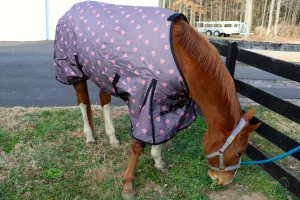 "Mocha Brown w/ Foxes" Medium Weight Turnout Blanket (USA SHIPPING ONLY)