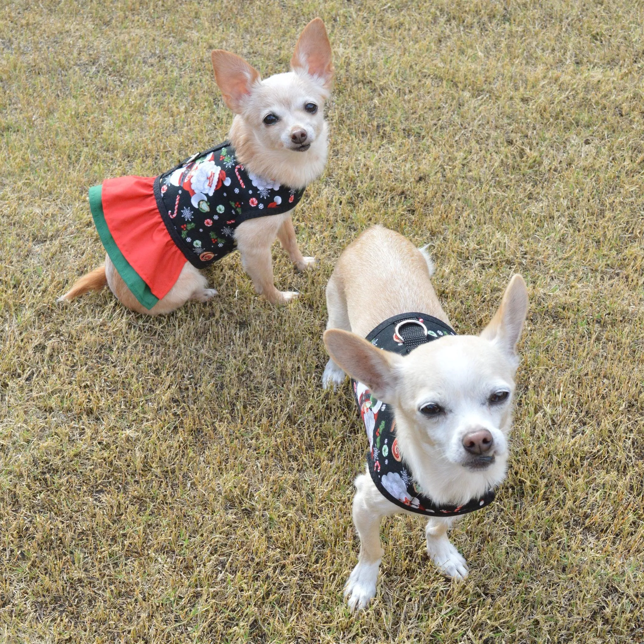 Santa Claus Print Dog Vest Harness