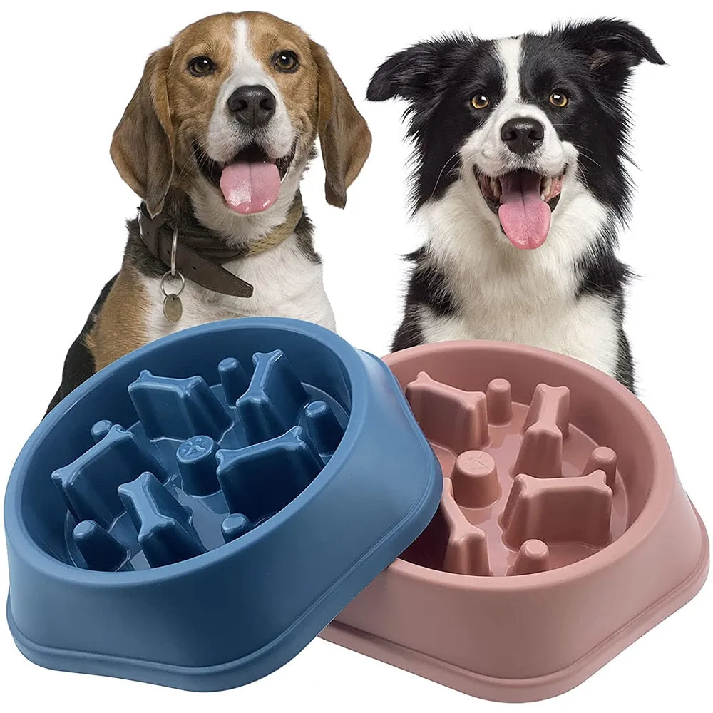 Slow Feeder Design Bowl