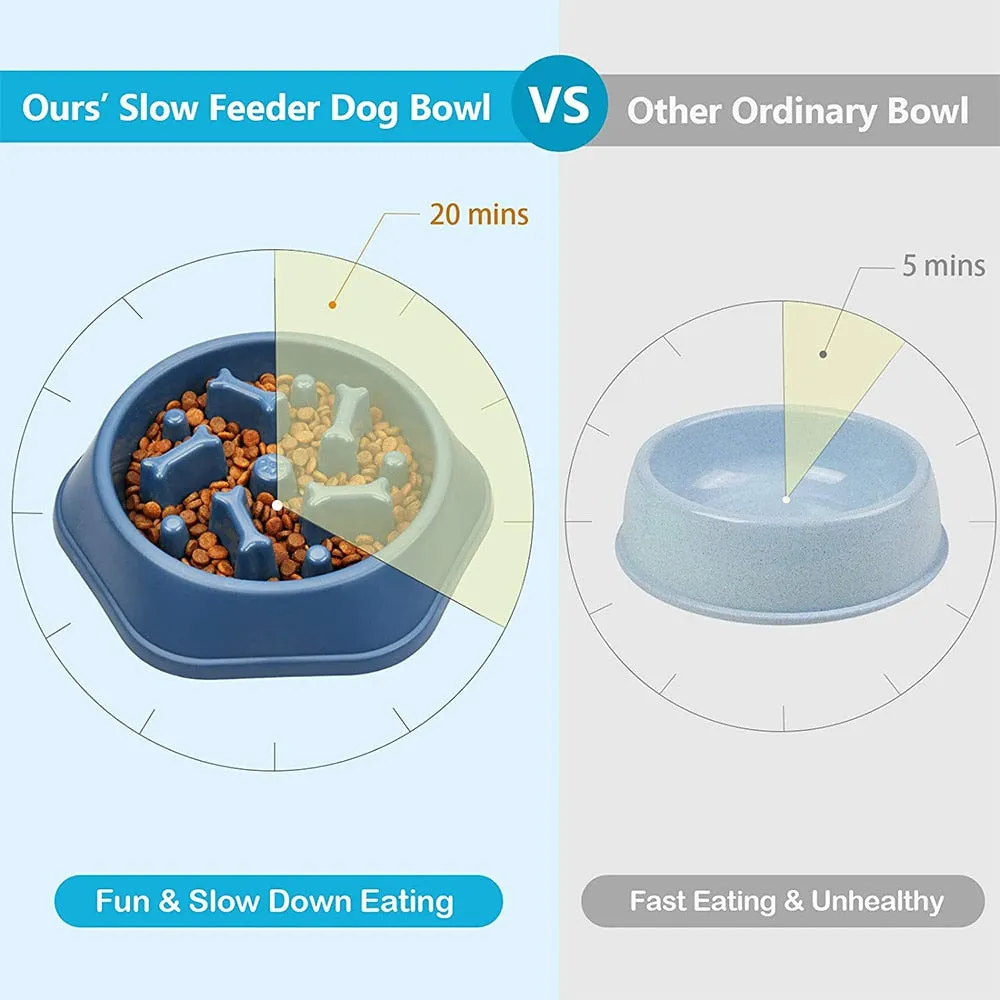 Slow Feeder Design Bowl