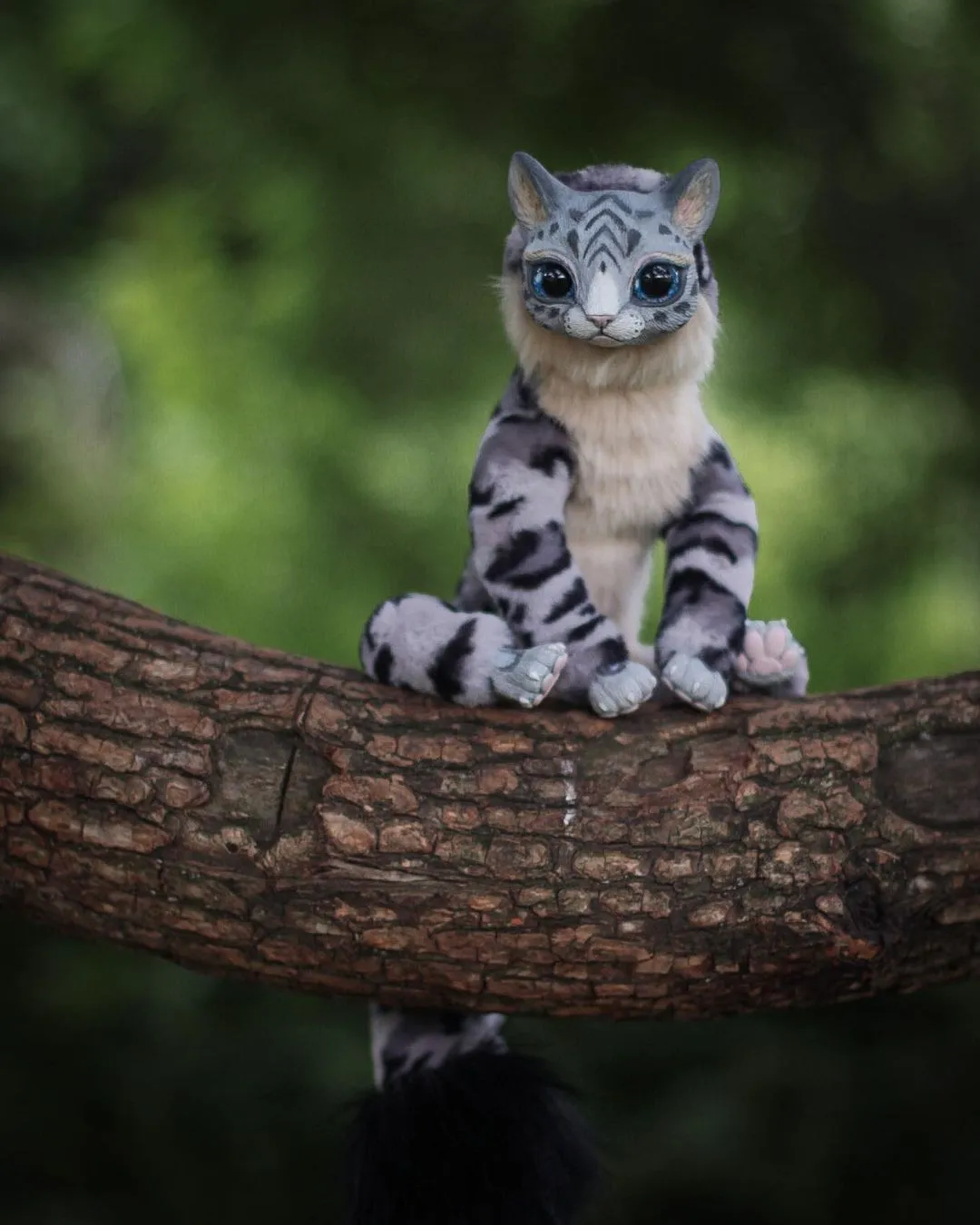 Snow leopard– Grey