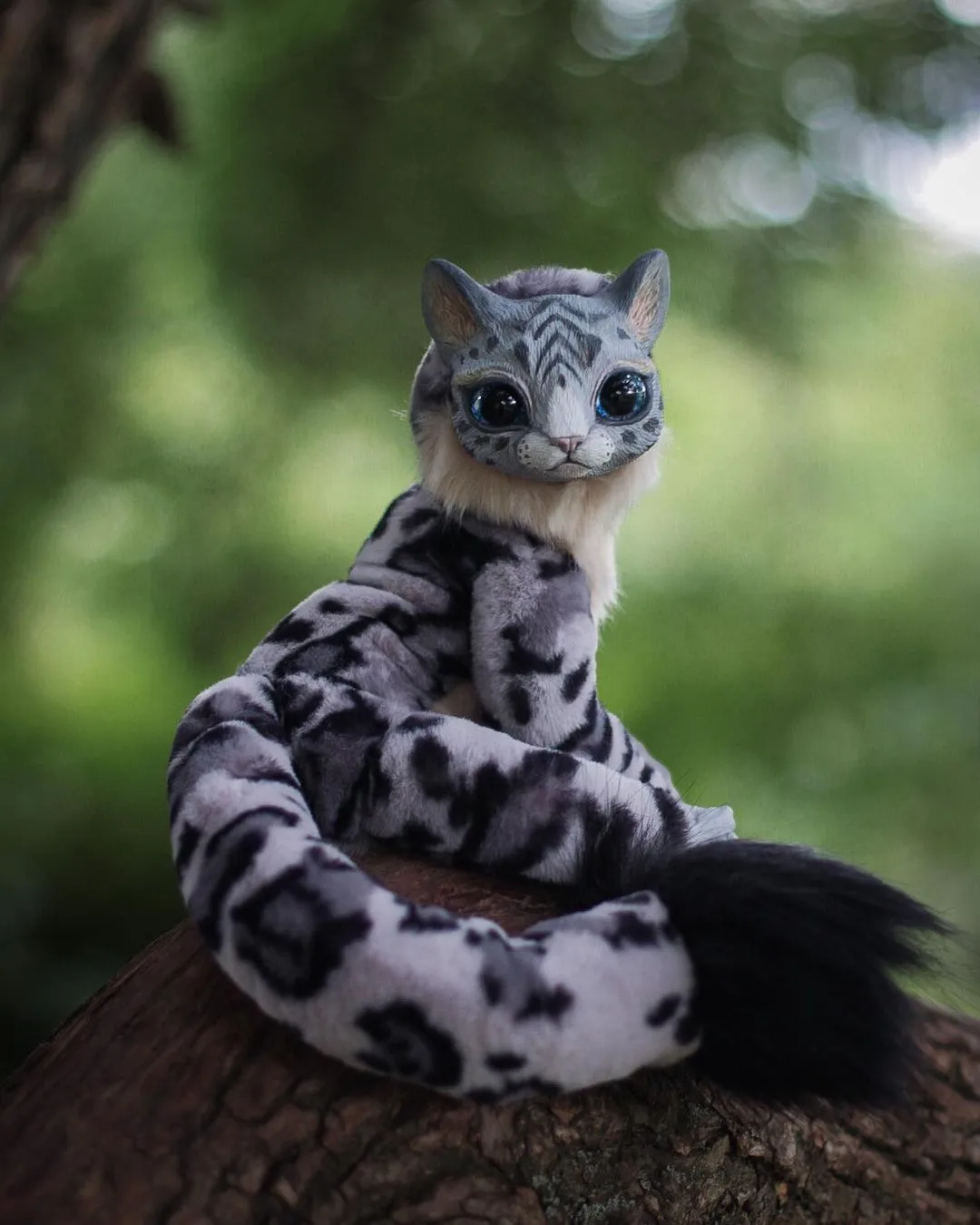 Snow leopard– Grey