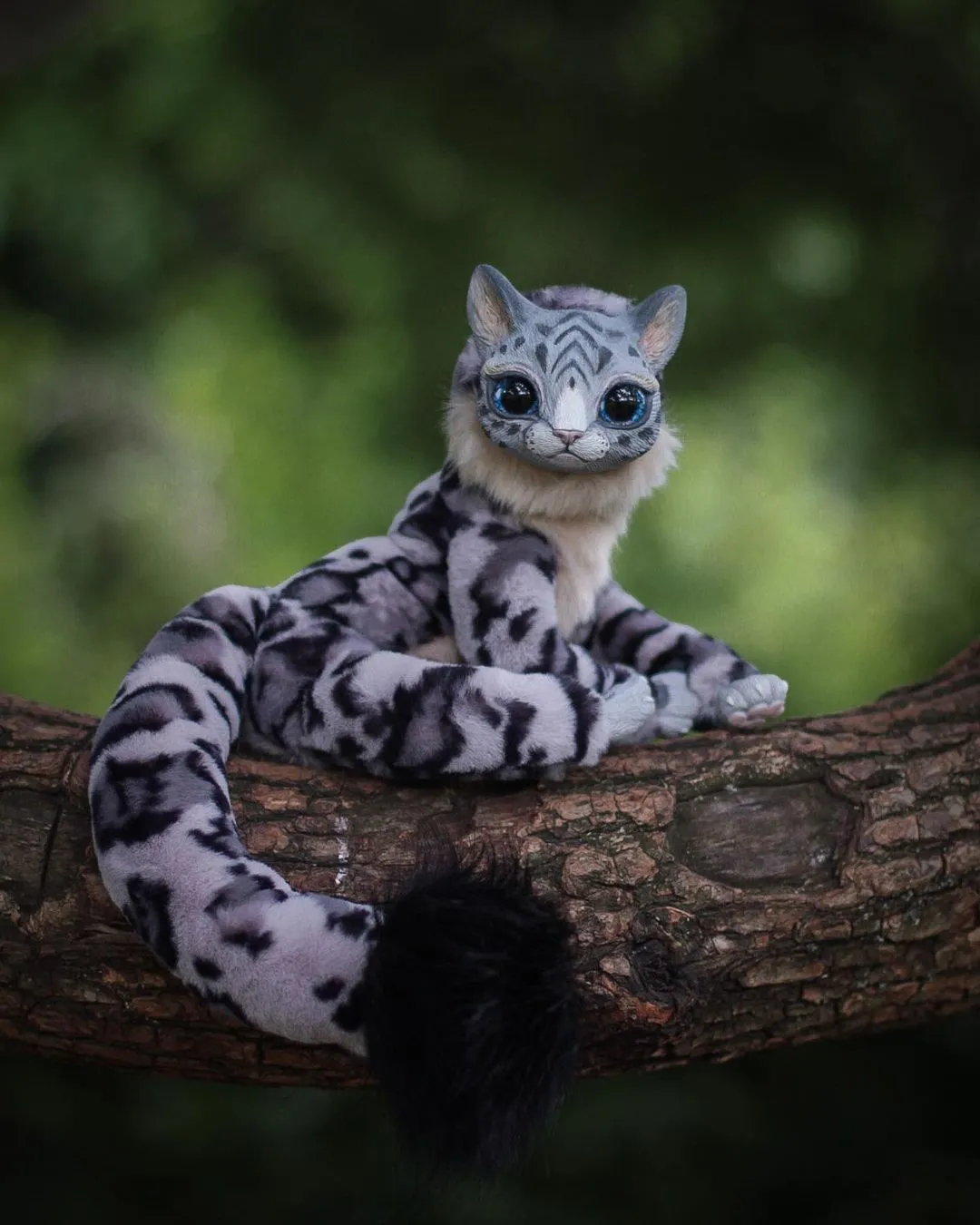 Snow leopard– Grey